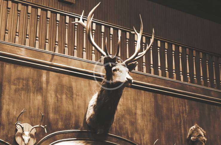 Say Hello to Jim, Our New Bar Dude